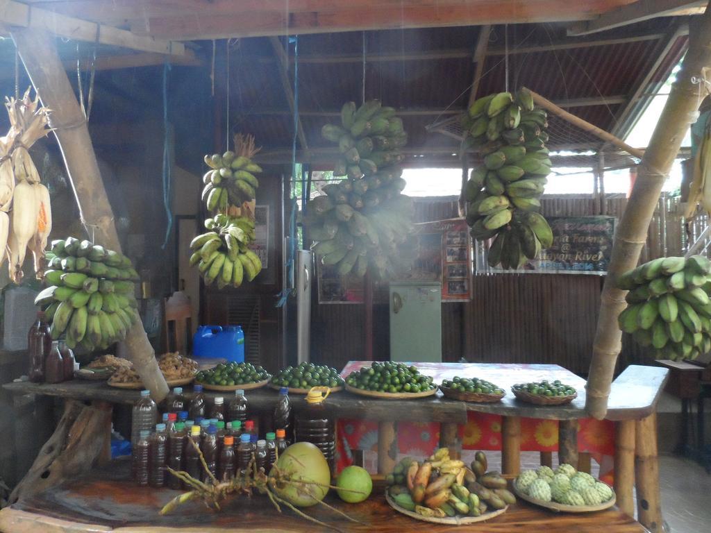 Victoria Guest House And Cottages Puerto Princesa ภายนอก รูปภาพ