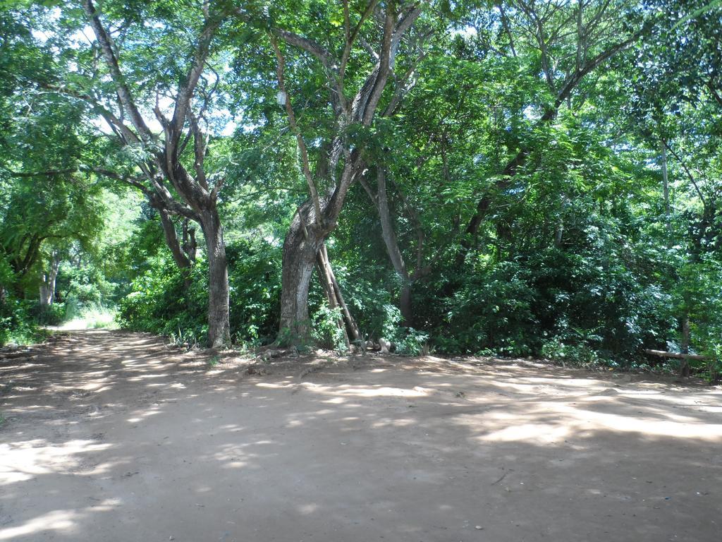 Victoria Guest House And Cottages Puerto Princesa ภายนอก รูปภาพ