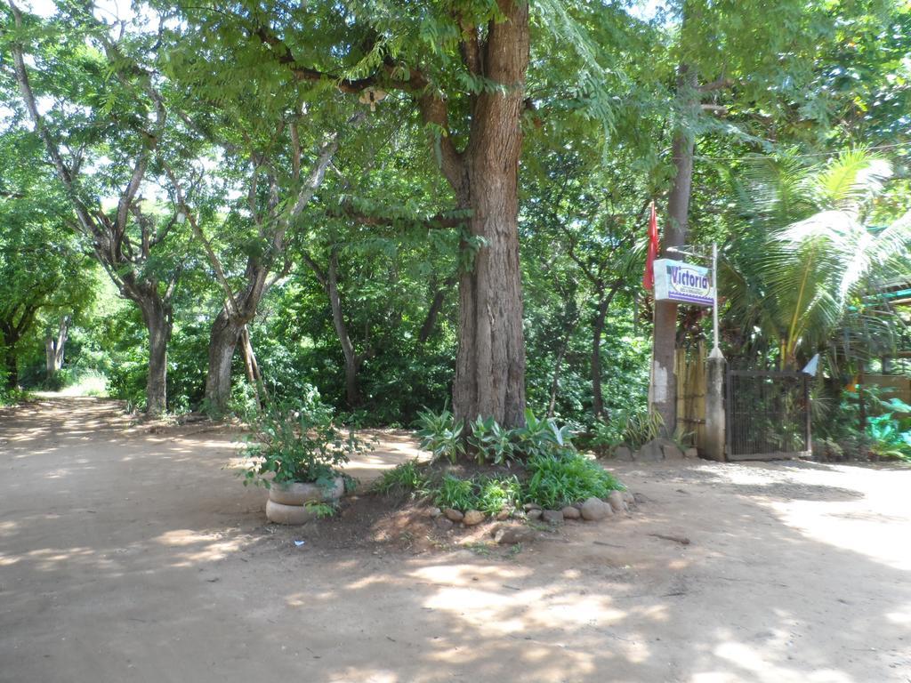 Victoria Guest House And Cottages Puerto Princesa ภายนอก รูปภาพ