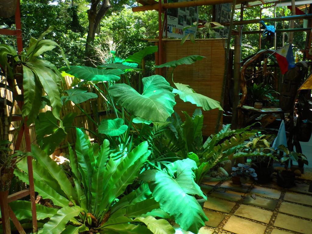 Victoria Guest House And Cottages Puerto Princesa ภายนอก รูปภาพ