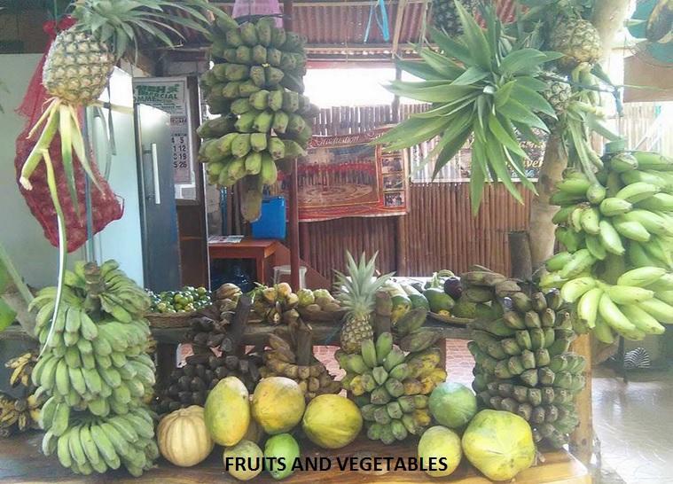 Victoria Guest House And Cottages Puerto Princesa ภายนอก รูปภาพ